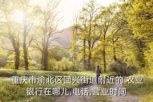 重庆农业银行怎么走