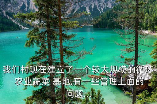 我们村现在建立了一个较大规模的循环 农业蔬菜 基地,有一些管理上面的问题...