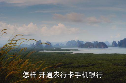 农业银行软件功能怎么开通,手机农业银行怎么开通