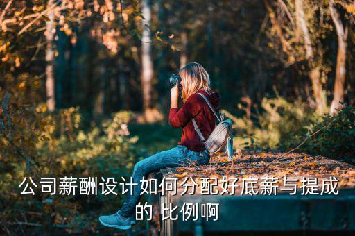 农业公司薪资比例怎么算