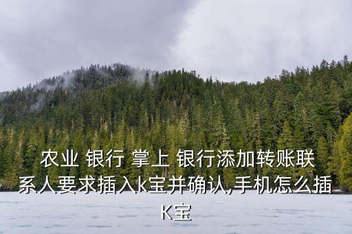 农业掌上银行怎么设置k宝,农业银行掌上银行app下载安装