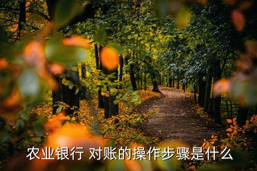 农业银行怎么进项余额对账
