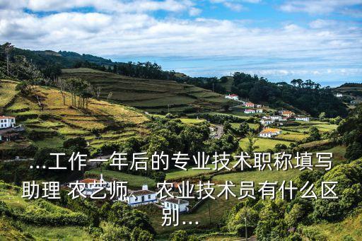 农业农艺师特长怎么写,农业专业技能特长怎么写范文
