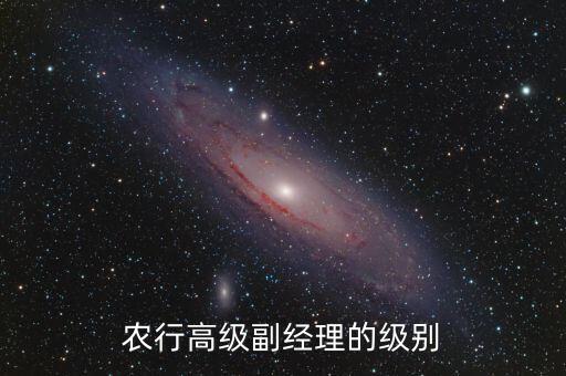 农业银行副行长怎么分工,河南省农业银行副行长名单