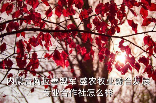 盛农农业直播间怎么进
