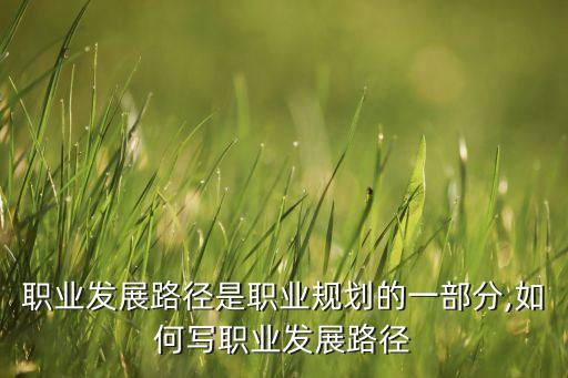 农业局晋升路线怎么写