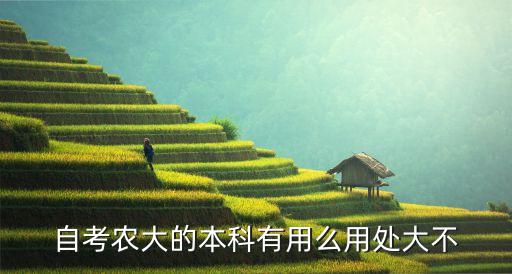 中国农业大学有什么好处,考上中国农业大学意味着什么