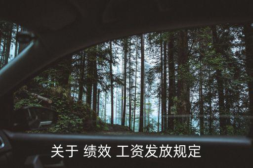 农业公司绩效工资怎么发