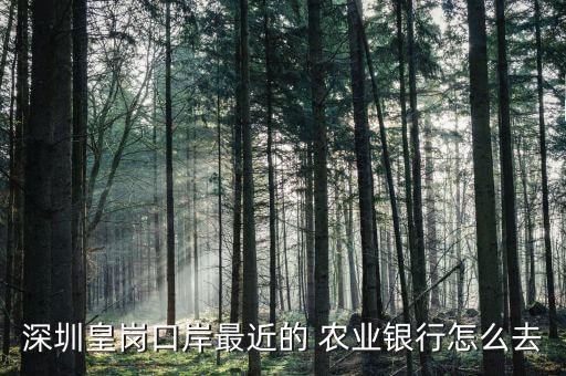 西场农业银行怎么走,海安西场农业银行电话