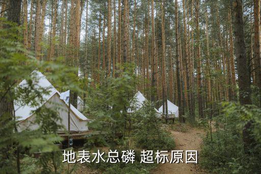 农业面源污染磷超标怎么办,农业氮磷面源污染的特点