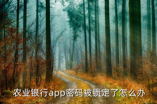 苹果农业银行怎么双开,农业银行app双开闪退