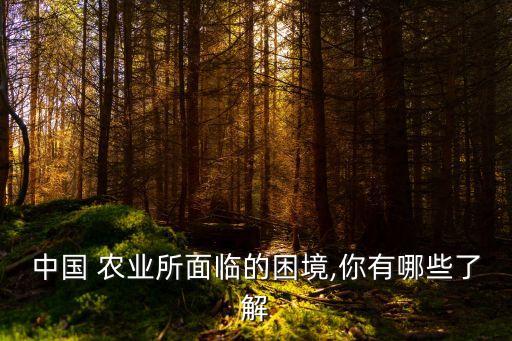 我国农业现状怎么样,当前我国农业发展现状