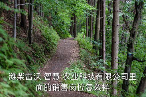 潍柴雷沃 智慧 农业科技有限公司里面的销售岗位怎么样