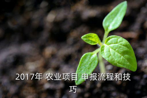 福建农业扶持怎么申报,农业项目怎么申报