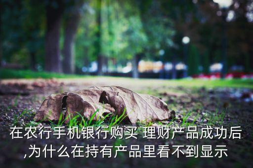 农业银行买了理财怎么看