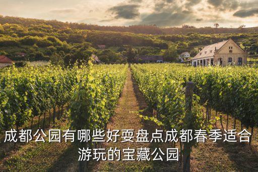 农业庄园里有什么玩的