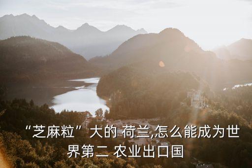 荷兰农业怎么赚钱快呢,农业公司怎么赚钱
