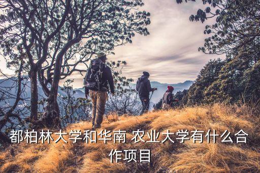 兴南农业发展公司怎么样