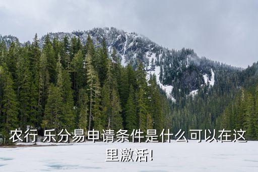 农业银行乐分易怎么操作