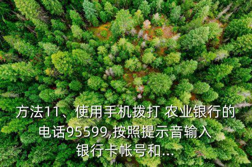 农业银行电话银行怎么使用