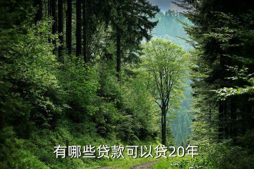农业银行批贷函怎么发放