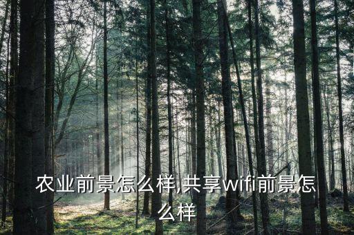共享农业前景怎么样,共享wifi前景怎么样