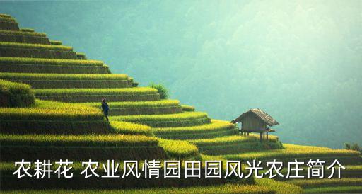 创意农业日记怎么写,创意日记怎么写三年级