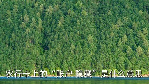 农业银行怎么隐藏卡片