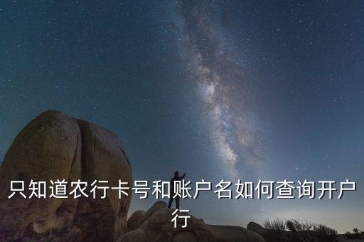 农业银行卡号支行怎么查,在农业银行app怎么查卡号