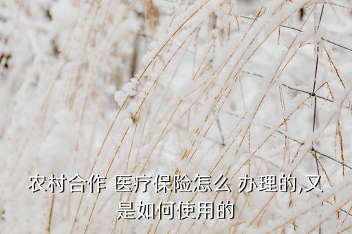 农业医疗保险怎么办理,农业合作医疗保险在哪里交