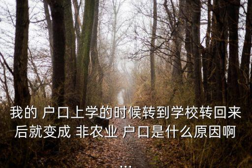 换户口了怎么变成非农业,怎么变成北京户口