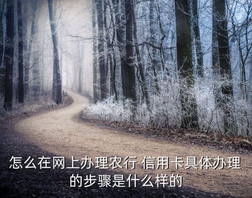 怎么手机申请农业信用卡,申请农业信用卡秒通过