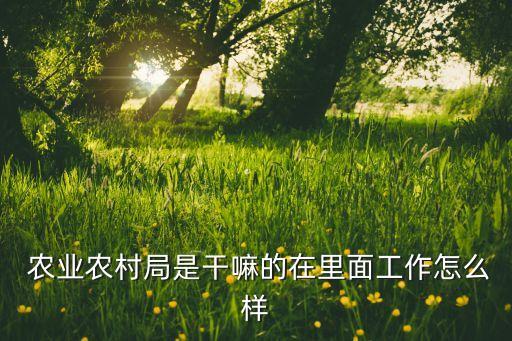 农业局怎么管农业,农业服务中心属于农业局吗