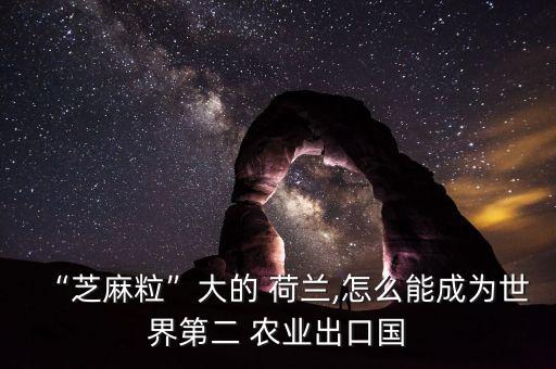 荷兰农业怎么赚钱快点