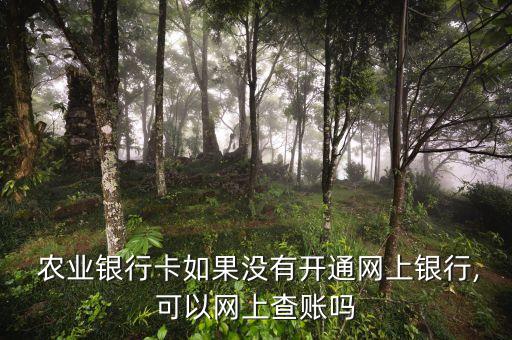 农业银行怎么查帐
