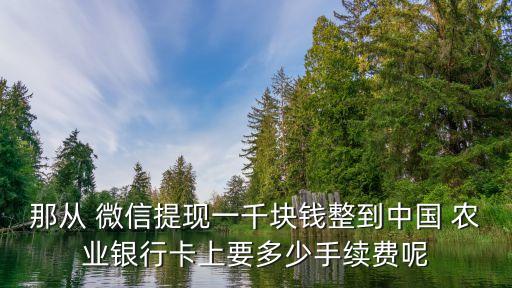 微信农业银行怎么收费,农业银行微信余额变动提醒收费吗