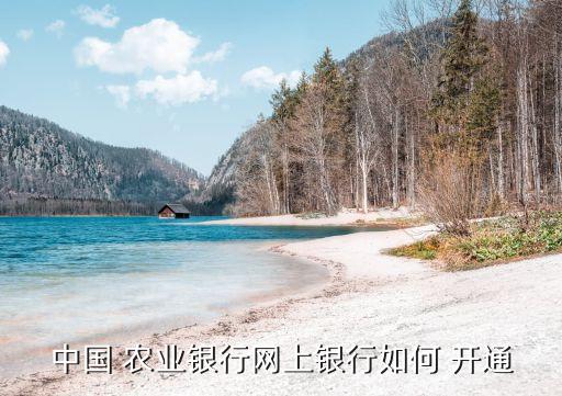 农业银行免密码怎么开通,手机农业银行怎么开通