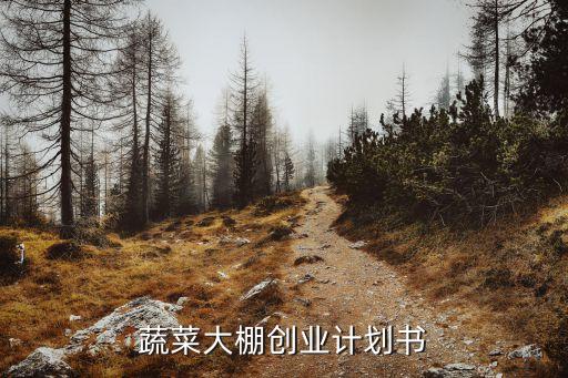 农业合资企划书怎么写的,保险计划书怎么写