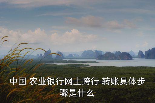 农业电脑转账怎么操作,农业K宝怎么转账