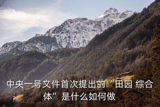 农业综合体怎么做,新型农业综合体