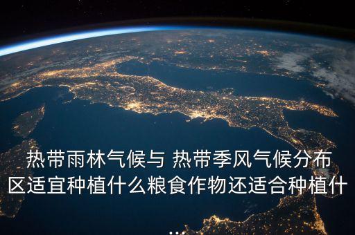 热带水果农业表格怎么做