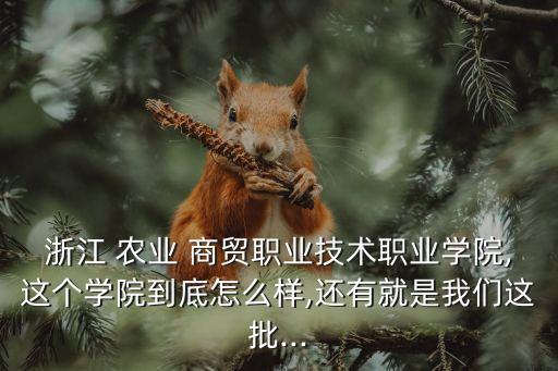 农业商贸怎么样,绍兴农业商贸学院