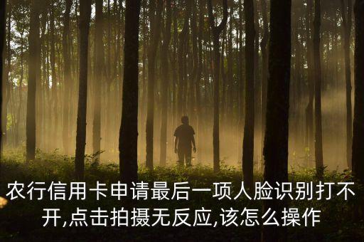 农业银行卡怎么拍照,怎么取消农业银行卡