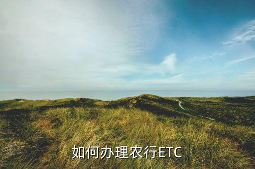 农业银行代扣怎么申请