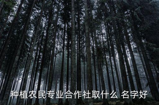 农业人起名字怎么起,农业合作社起名字大全集