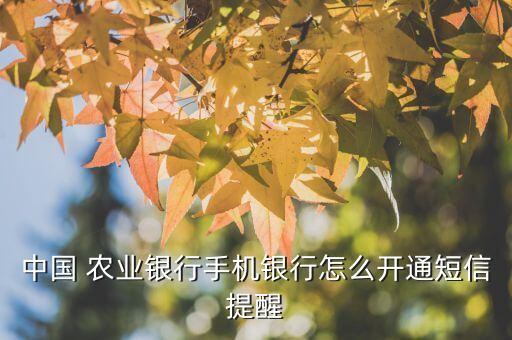 农业怎么注册消息服务业务