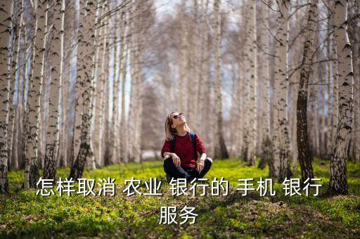农业手机银行怎么关闭网银