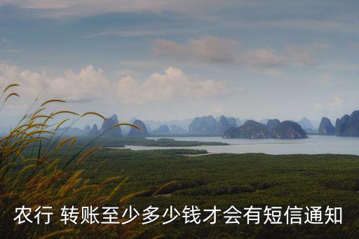 农业银行怎么提醒转账到卡