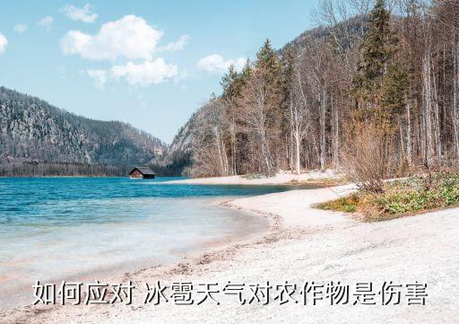 户外农业怎么预防冰雹,农业预防冰雹的主要措施