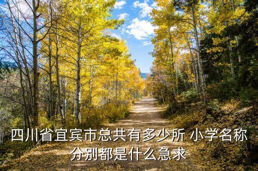 农业街小学怎么样,宜宾市翠屏区农业街小学